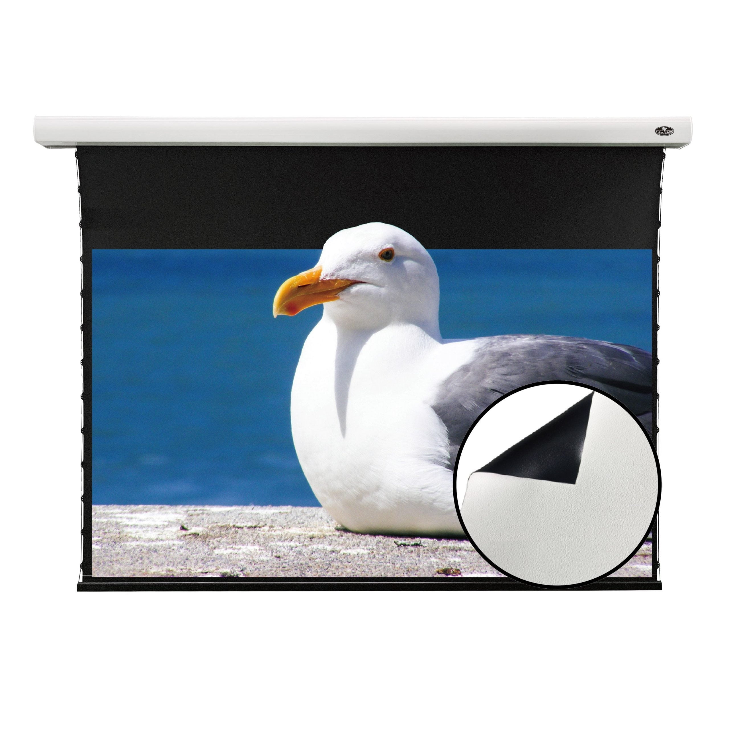 Vividstorm Slimline White Cinema VBMSLW100H 100-inch 16:9 Motorized Drop Down Projector Screen for Standard Throw Projectors