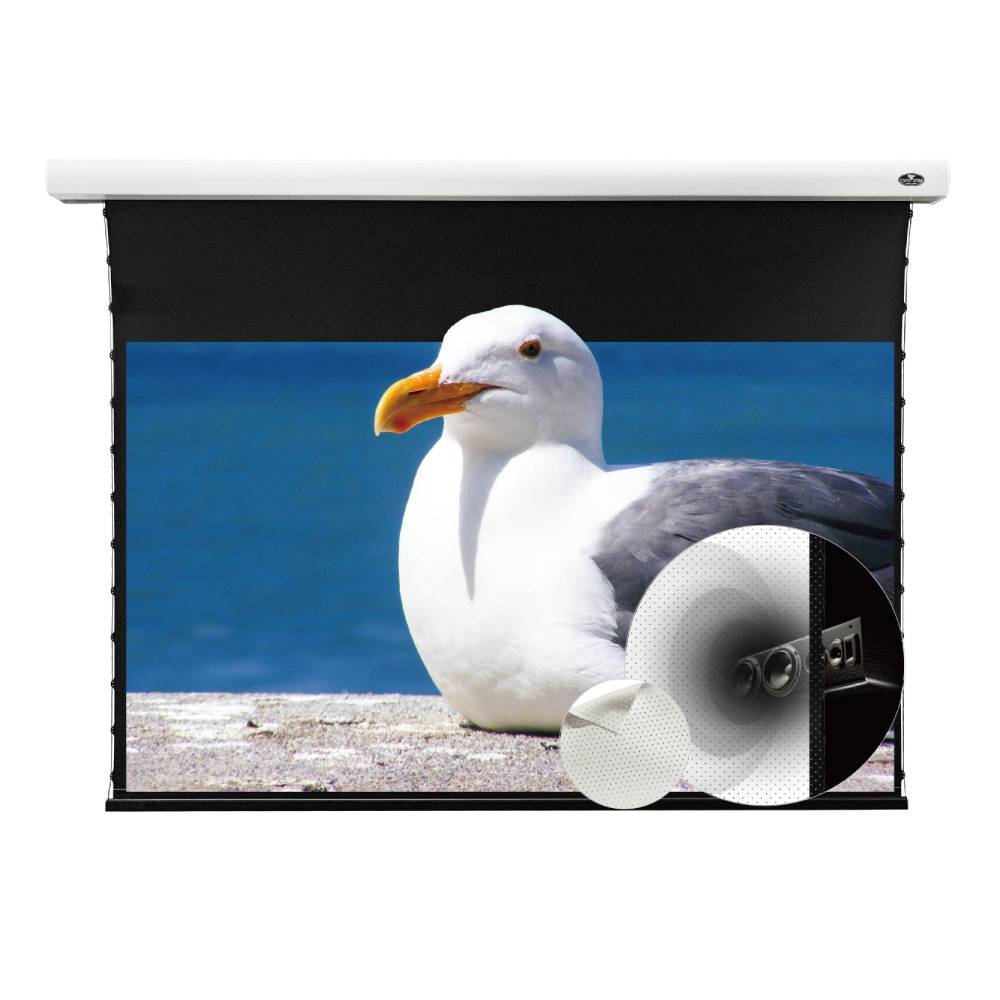 Vividstorm Slimline P White Cinema VBMSLPW100H 100-inch 16:9 Motorized Drop Down Acoustically Transparent Projector Screen for Standard Throw Projectors